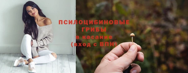 МДПВ Абинск