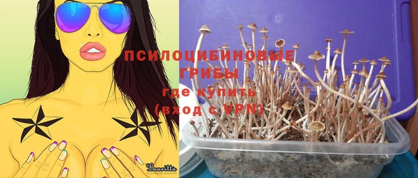 МДПВ Абинск