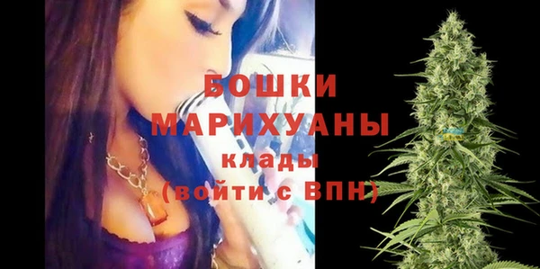 ECSTASY Абаза
